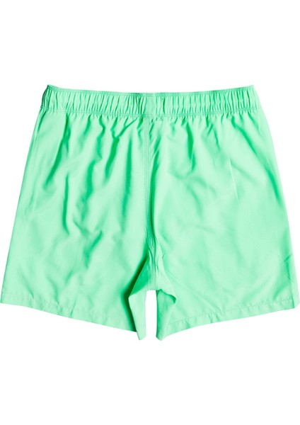 All Day LB Erkek Deniz Şortu C1LB12 fiyatları