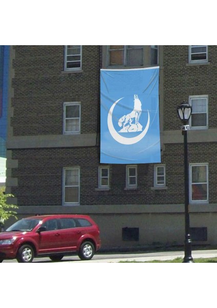 Bozkurt Ülkü Ocakları Mavi Bayrak - Flama 400X600 cm Raşel Kumaş