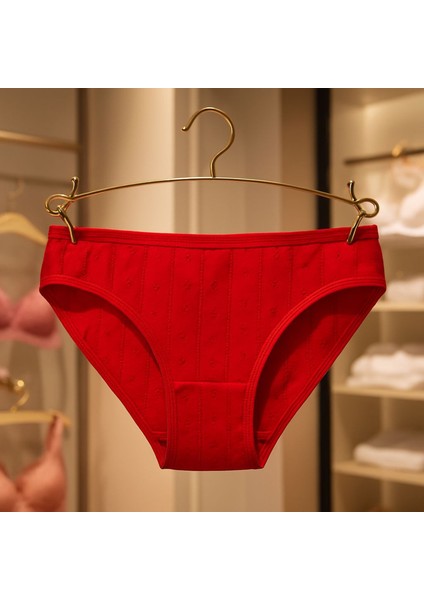 Jakarlı Bikini Külot 6 Adet Karışık Renk Büyük Kalıp fiyatları