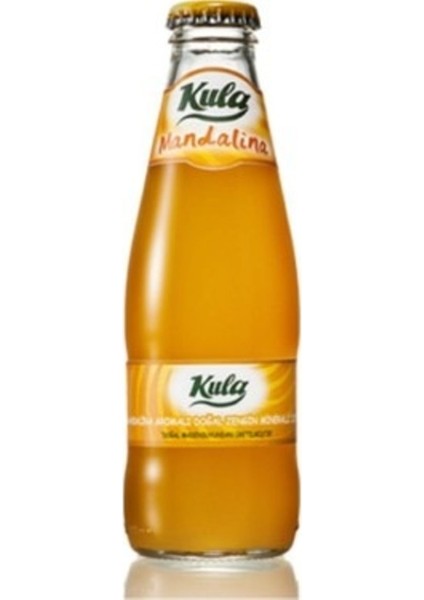 Mandalinalı Soda 200 ml x 24 – Doğal Aromalı Gazlı Içecek