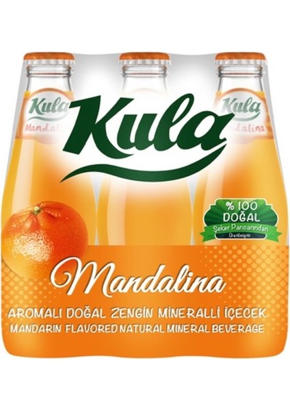 Mandalinalı Soda 200 ml x 24 – Doğal Aromalı Gazlı Içecek fiyatları
