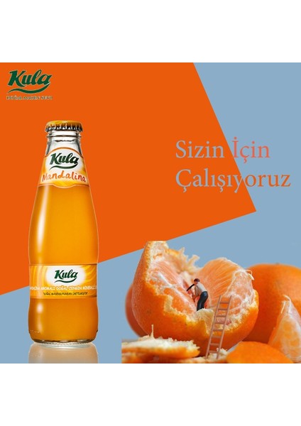 Mandalinalı Soda 200 ml x 24 – Doğal Aromalı Gazlı Içecek modelleri