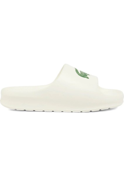 Erkek Terlik 748CMA00221Y5