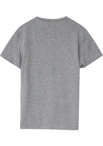 Tommy Hılfıger Erkek T-Shırt DM0DM20322-P6N fiyatları