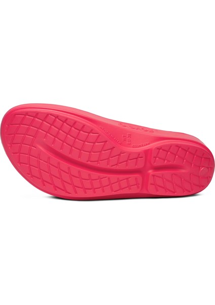 Oofos Kadın Terlik 1410-NEONBERRY fırsatları