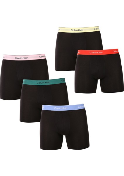 Calvın Kleın Erkek 5 Li Boxer NB4231-VSU