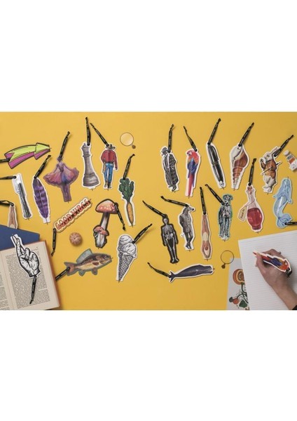 Eclectionery Flat Kalemli Kitap Ayracı - Havuç fiyatları