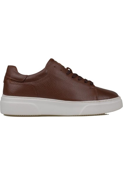 Taba Tommy Erkek Deri Sneaker fiyatları