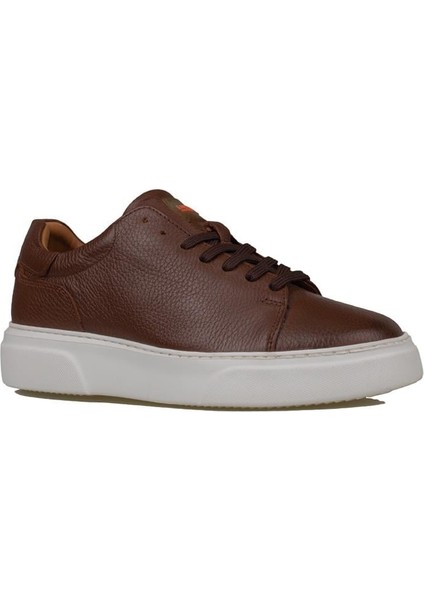 Taba Tommy Erkek Deri Sneaker