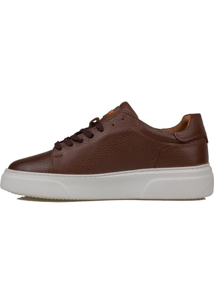 Taba Tommy Erkek Deri Sneaker modelleri