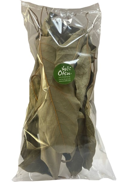 Avokado Yaprağı 15 gr - Bütün Kırılmamış