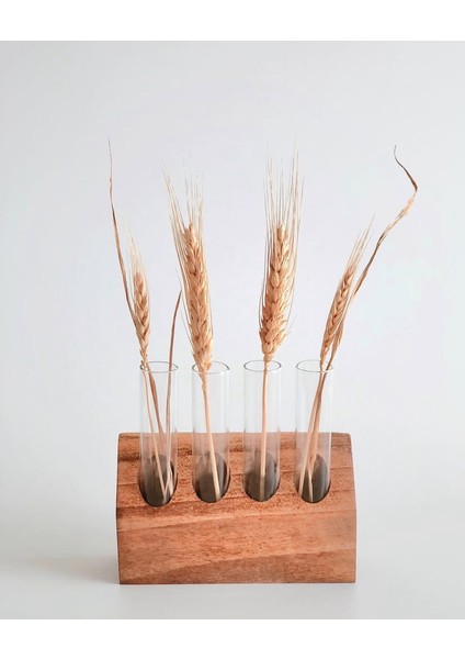 Tube Serisi Dekoratif Vazo, Cam Tüplü Vazo, Ahşap Tüplü Vazo, Baharatlık, Tüplü Bitki Standı fiyatları