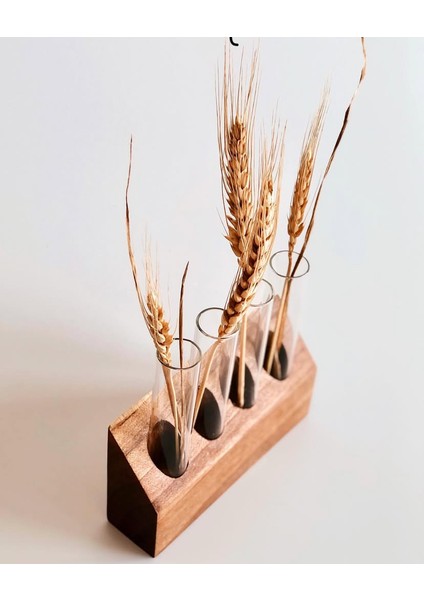 Tube Serisi Dekoratif Vazo, Cam Tüplü Vazo, Ahşap Tüplü Vazo, Baharatlık, Tüplü Bitki Standı fırsatları