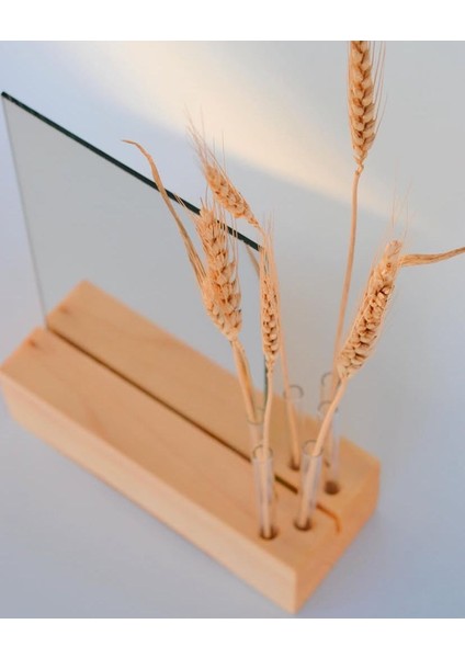 Tube Serisi Masaüstü Ayna, Makyaj Aynası, Ahşap Masaüstü Ayna, Cam Tüplü Masaüstü Ayna fırsatları