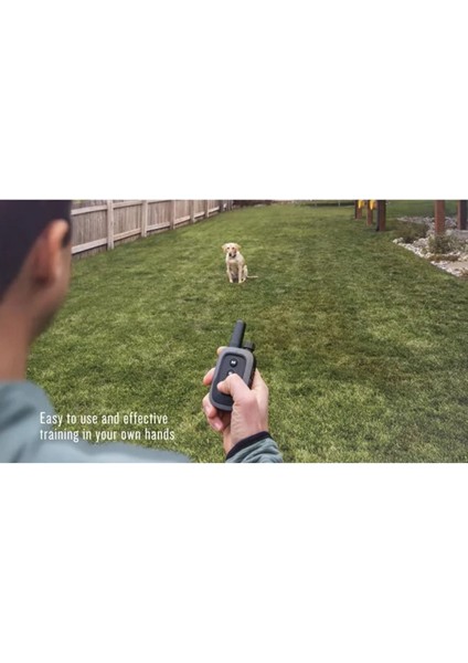 Delta Se Köpek Tasması 3 Eğitim Yöntemi, Suya Dayanıklı Tasarım ve Uzun Ömürlü Pil (Mavi) modelleri