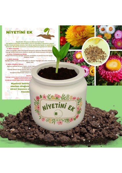 Niyetini Ek – Sürpriz Tohumlu Mini Saksı