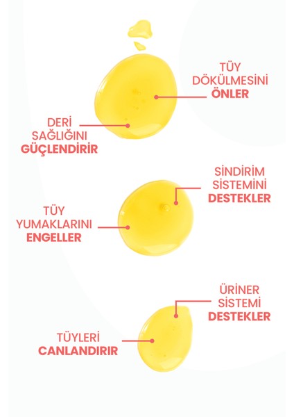 Kediler Için Tüy Dökülmesi Önleyici Plus B Damla – 50 ml fiyatları