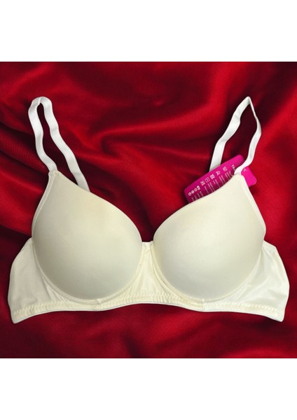 Destekli Dolgulu ve Telli Sütyen Takımı fiyatları