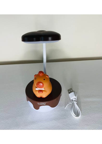 Çocuk Masaüstü LED Lamba modelleri