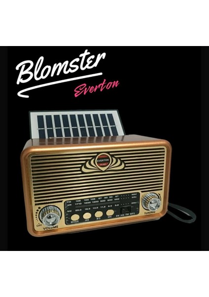 Güneş Enerjiyle Çalışan Bluetooth Müzik Çalar, Usb/sd Radyo, Kahverengi