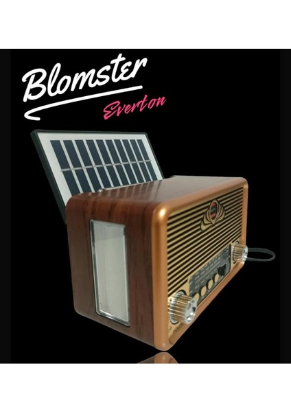 Güneş Enerjiyle Çalışan Bluetooth Müzik Çalar, Usb/sd Radyo, Kahverengi fiyatları