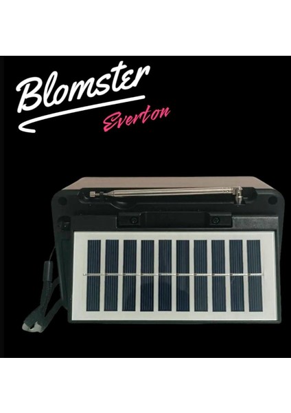 Güneş Enerjiyle Çalışan Bluetooth Müzik Çalar, Usb/sd Radyo, Kahverengi fırsatları