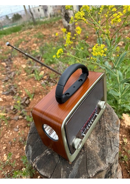 Kırmızı Ledli, Fenerli, Bluetooth, USB Çalar, Şarjlı ve Pilli Müzik Kutusu modelleri