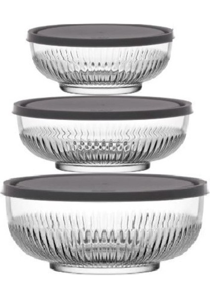 Gri 3'lü Saklama Kabı Seti (2600CC, 1500CC, 880CC)