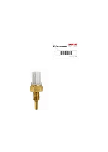 mt 25-R 25 Hararet Müşürü Orjinal 2019-2023