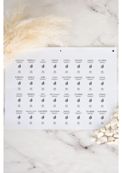 10'lu Ahşap Kapaklı Döner Cam Baharatlık Seti 300 ml indirimleri