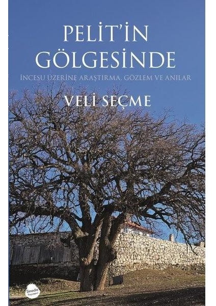 Pelit'in Gölgesinde Incesu Üzerine Araştırma Gözlem ve Anılar