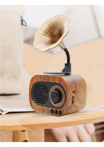 Kahverengi Mini Nostaljik Radyo ve Hoparlör, Bluetooth, Usb, Sd Desteği Ile. modelleri