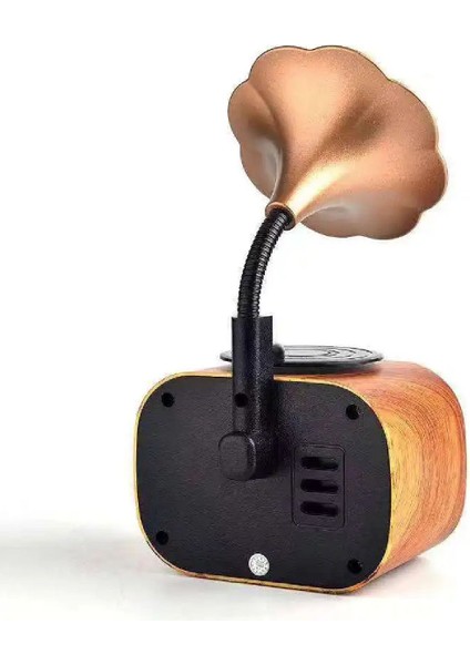 Kahverengi Mini Nostaljik Radyo ve Hoparlör, Bluetooth, Usb, Sd Desteği Ile. indirimleri