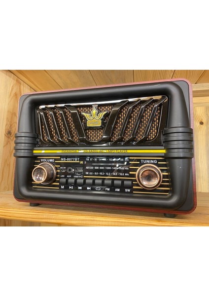 Siyah Nostaljik Radyo, Retro Tasarım, Taşınabilir ve Şık Ses Cihazı modelleri