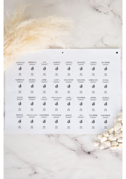 10'lu Ahşap Top Kapaklı Döner Standlı Cam Baharatlık Seti 300ML indirimleri