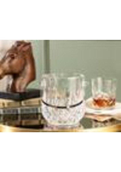 Serinlik ve Şıklık Için Şeffaf Buz Kovası, Ideal Soğutucu Aksesuar fırsatları