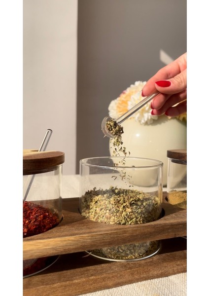 Şık 3'lü Cam Baharatlık Seti, Standlı ve Kullanışlı Tasarım modelleri