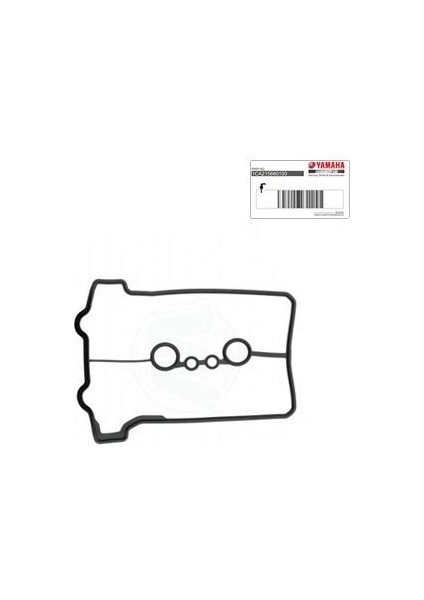 mt 25 Külbütör Kapak Oringi Orjinal 2019-2023