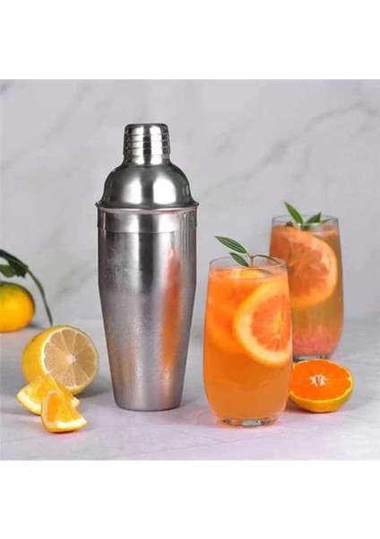 Paslanmaz Çelik Kokteyl ve Meyve Suyu Karıştırıcı, 750 ml fiyatları