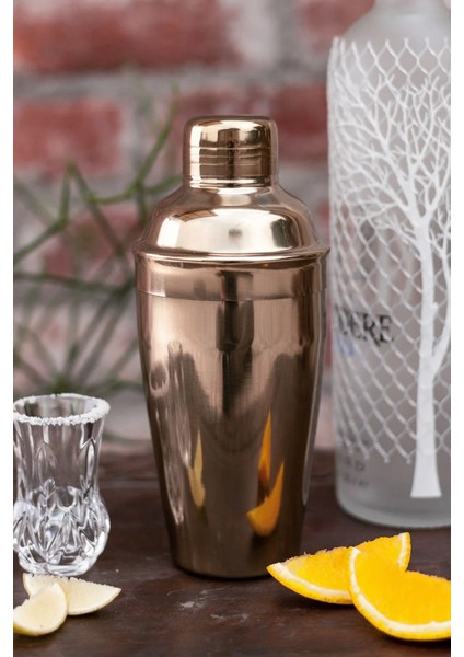 Paslanmaz Çelik Kokteyl Karıştırıcı 500ML Rose Renkli Shaker fiyatları