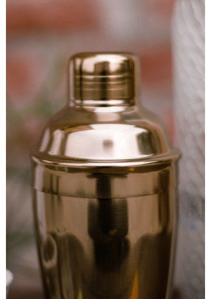 Paslanmaz Çelik Kokteyl Karıştırıcı 500ML Rose Renkli Shaker indirimleri