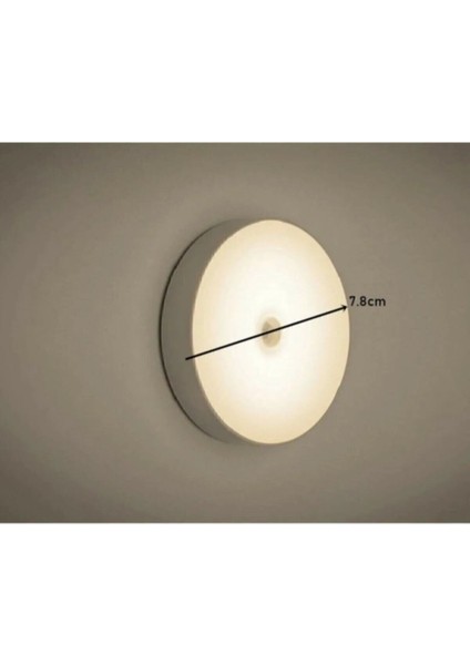 Sensörlü LED Dolap Içi Lamba, Beyaz, Enerji Tasarruflu ve Şık Tasarım fiyatları