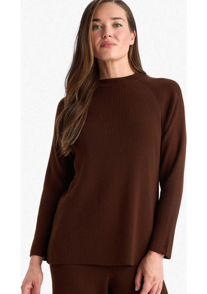 Regular Fit Bisiklet Yaka Basic Düz Triko Kazak D6911AX25WN