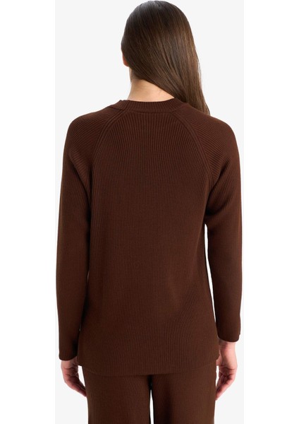 Regular Fit Bisiklet Yaka Basic Düz Triko Kazak D6911AX25WN