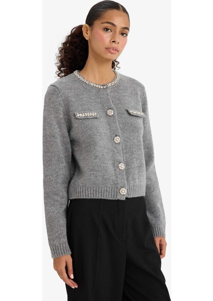 Regular Fit Bisiklet Yaka İşlemeli Triko Hırka F3896AX25WN fırsatları