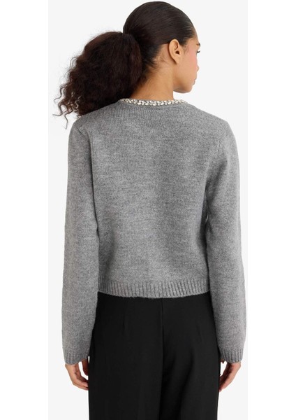 Regular Fit Bisiklet Yaka İşlemeli Triko Hırka F3896AX25WN