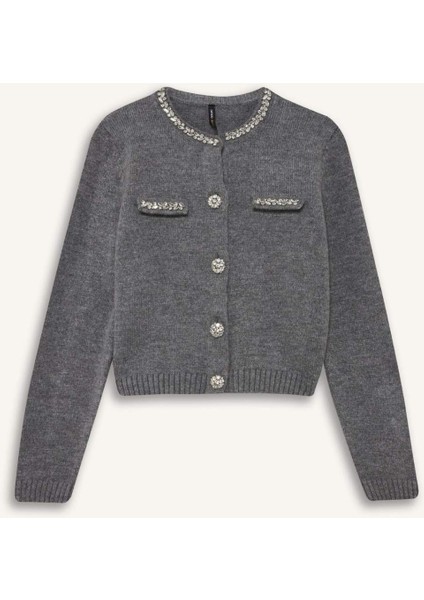 Regular Fit Bisiklet Yaka İşlemeli Triko Hırka F3896AX25WN