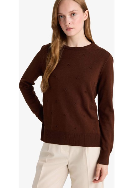 Regular Fit Bisiklet Yaka Triko Kazak F4084AX25WN modelleri