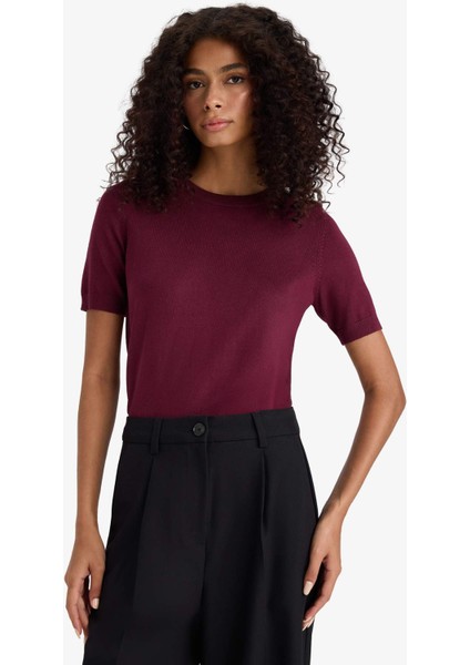 Regular Fit Bisiklet Yaka Kısa Kollu Triko Kazak D6272AX25AU modelleri