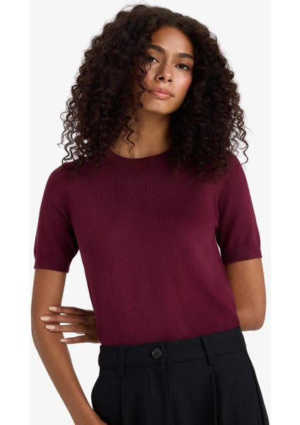 Regular Fit Bisiklet Yaka Kısa Kollu Triko Kazak D6272AX25AU fırsatları